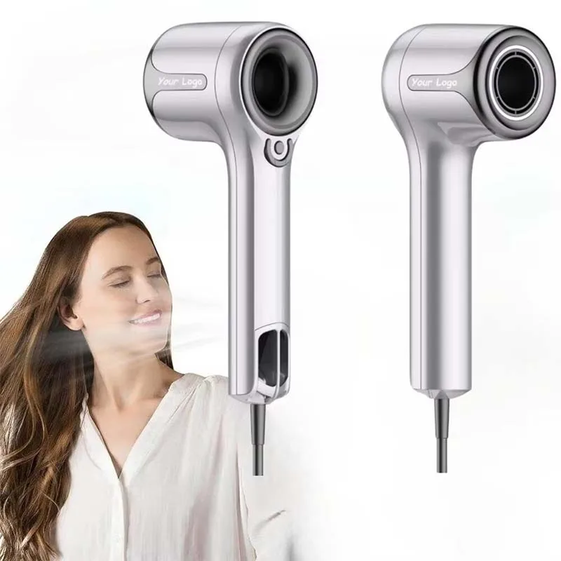 Salon-Quality AC Motor Powered Negative Ion Hair Dryer Concentrator for Home Outdoor Use Powerful Leafless Technology for Hotels