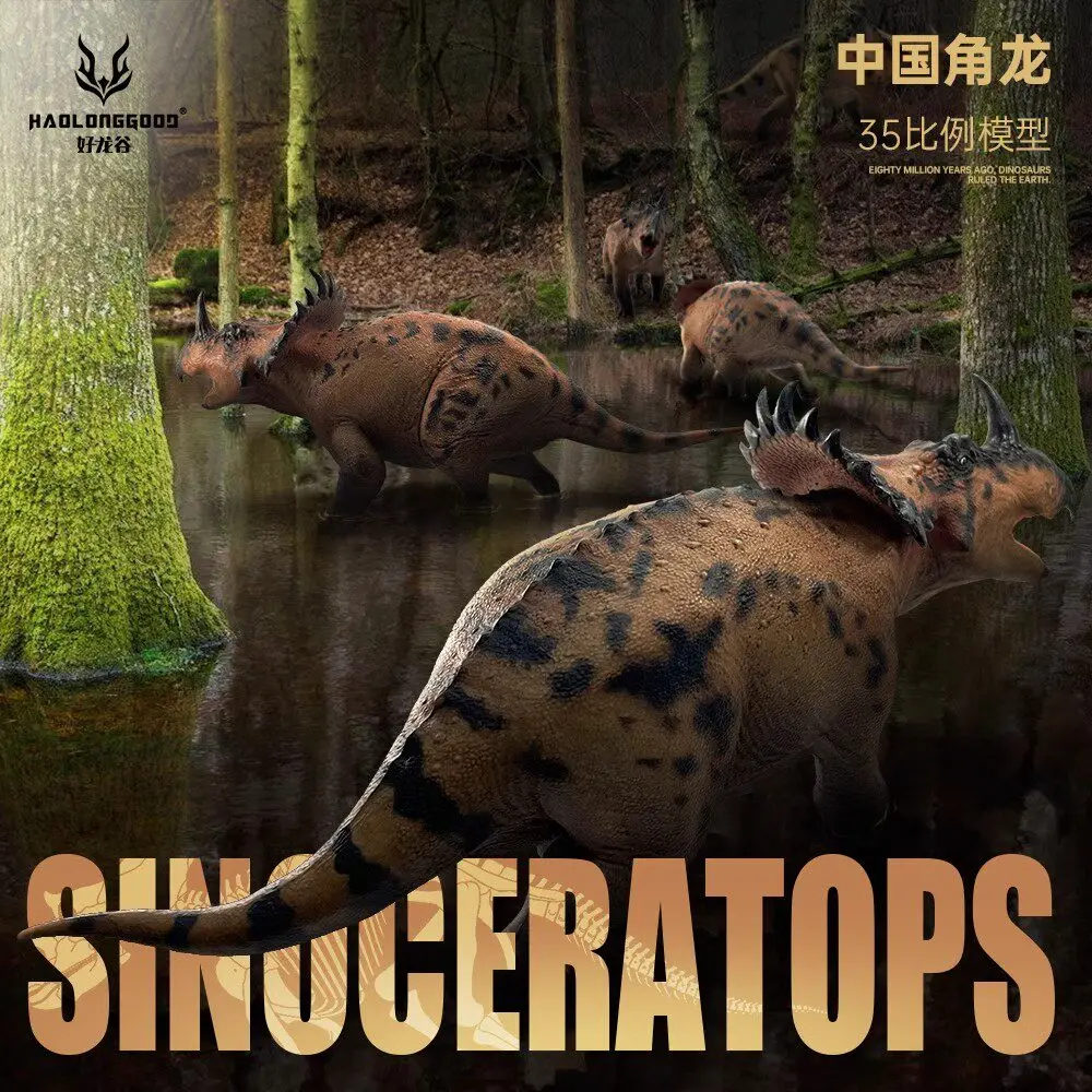 

【In Stock】Haolong Valley Chinese Ceratops Triceratops Dinosaur Jurassic Simulation Animal Dinosaur Model 1/35 Anime Model Toy