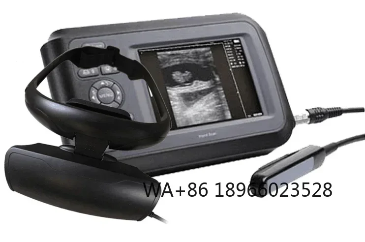 Equipo portátil ultrasonido veterinario portátil máquina de ultrasonido veterinario fisioterapia