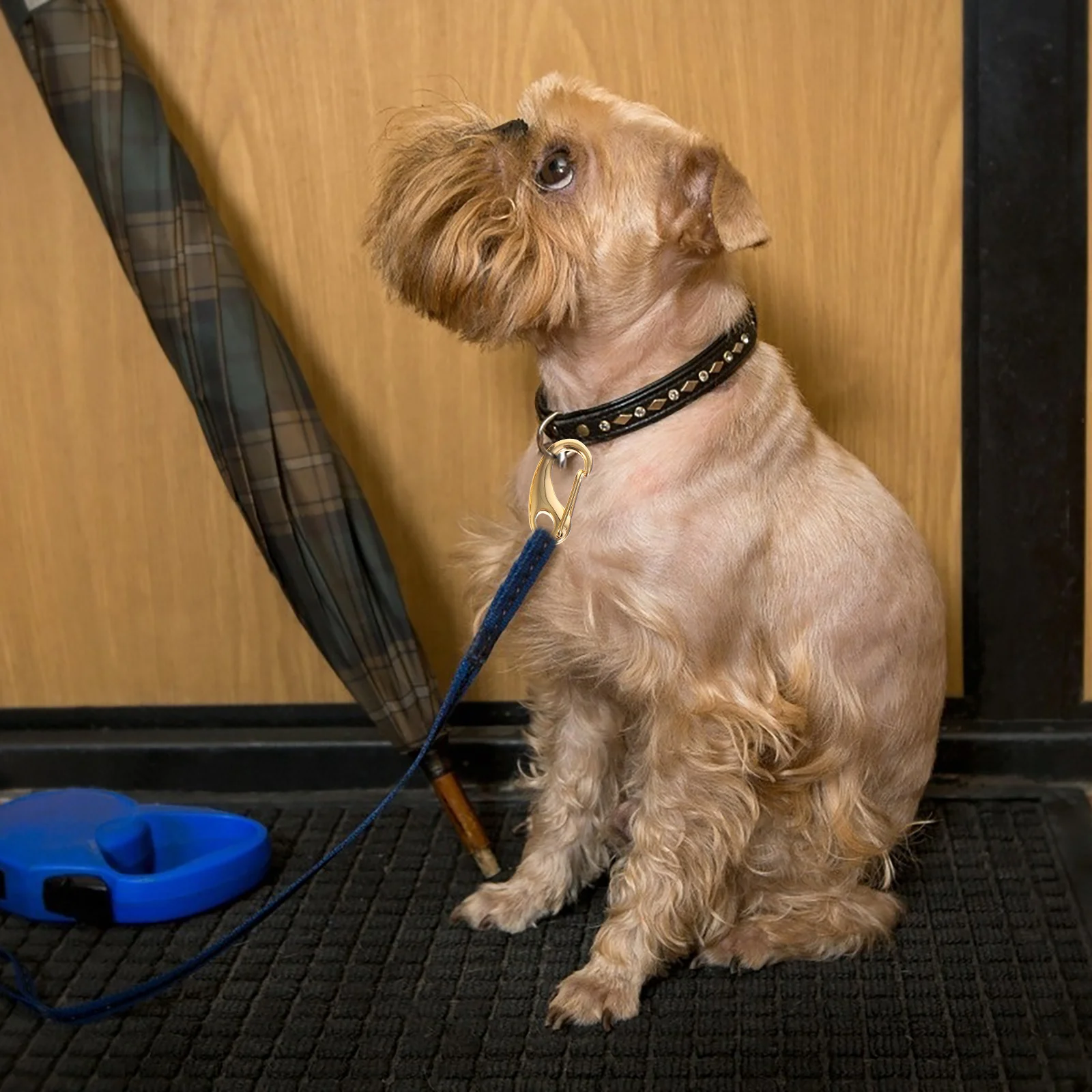 

3Pcs Stainless Steel Pet Tag Clip Hook for Dog Cat Collar Harness Key Ring Accessories Pet Tag Clip