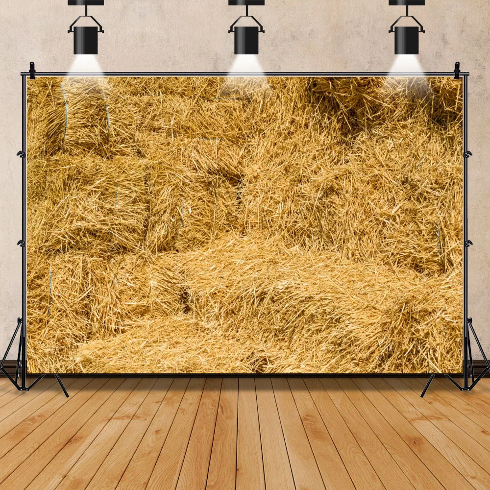 Laeacco Sunlight Rural Wheat Fields Hay Bale Harvest Portrait Scene Photography Backdrops Photo Backgrounds Studio Photocall