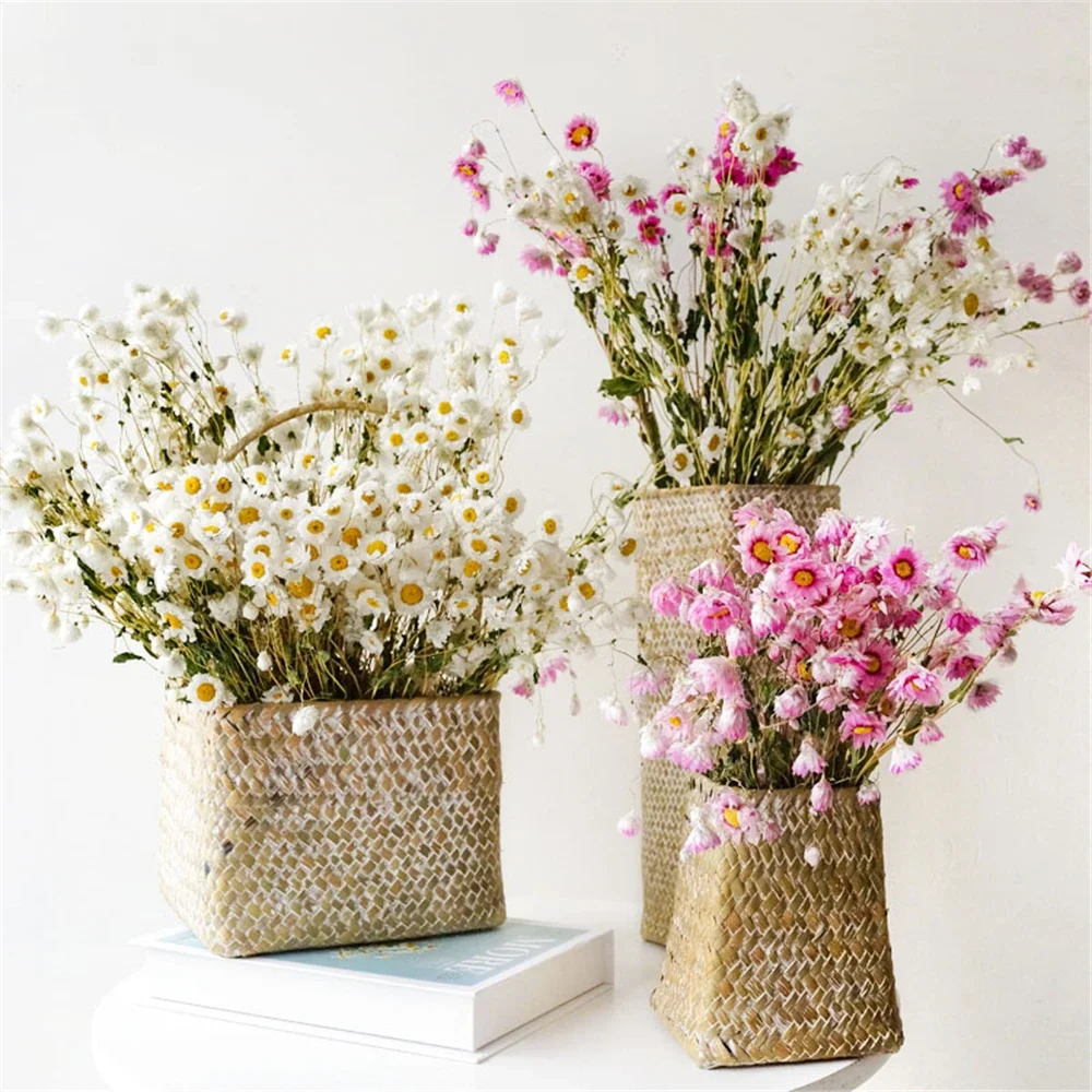 Natural Fresh Dried…