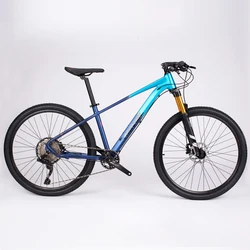 Aluminum Alloy Mountain Bicycle for Adults, Dirt Bike, MTB, Double Oil Disc Brake, Cross Country Bikes, 29