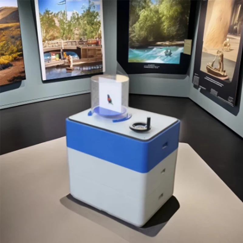 Jaula para pájaros, juego interactivo, accesorios de actividades, exposición científica, juegos científicos, juegos interactivos científicos