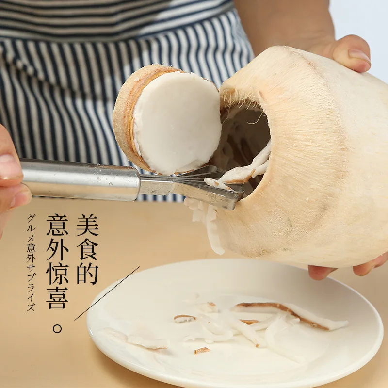 Coconut Shell Drill & Meat Scoop Tool, Stainless Steel Coconut Opener for Home Kitchen