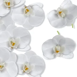 11Color Artificial Latex Phalaenopsis Butterfly Orchid Flowers Head DIY Wedding Garden Decorative Shooting Props Accessories