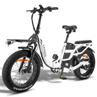 FAFREES F20 X-MAX Adult Electric Bike Electrical Road Bicycle, 750W 48V 30Ah Fatbike MTB E-bike, 20*4\