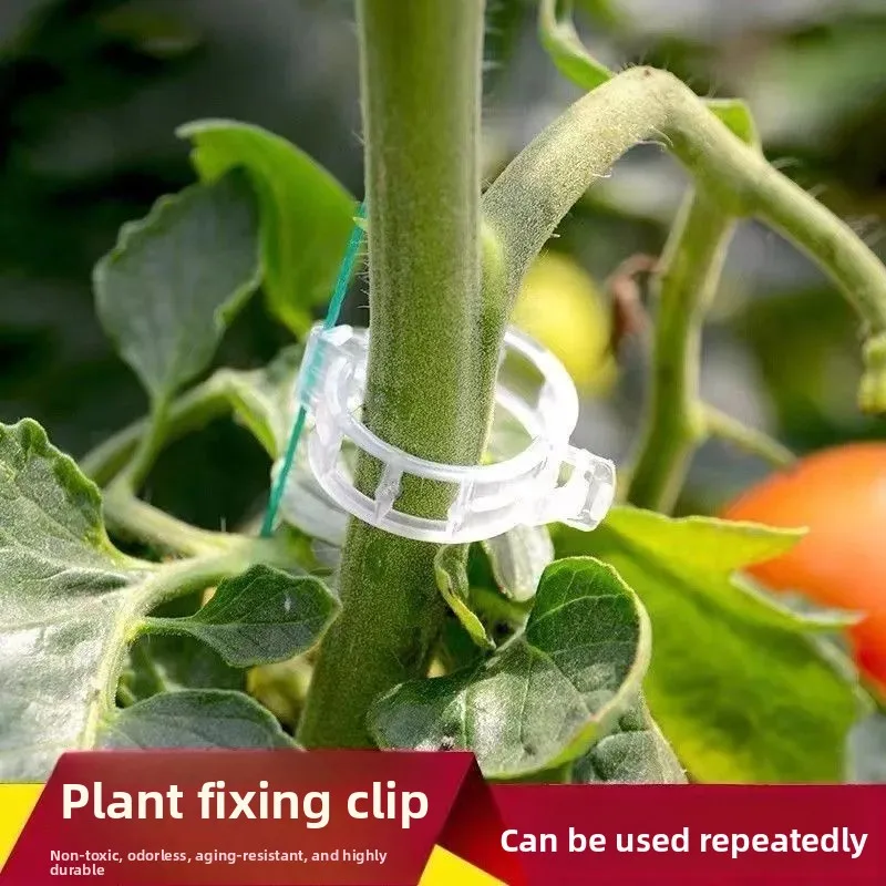 fruit tree plant fixing clip buckle vine seedling climbing vine support rod fruit and vegetable seedling hanging seedling clip