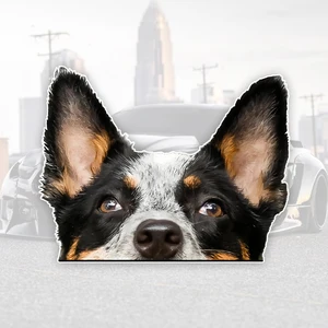 8 최고의 영업 호주 소요자 - №4