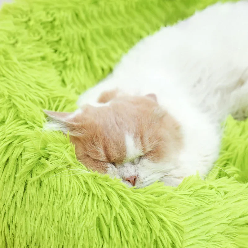 

Cat Beds for Indoor Cats Washable Donut and Dog Bed,Soft Plush Pet Cushion Bottom Fluffy Calming Self-Warming Bed Sleep Improvem