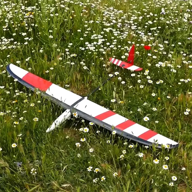Glider F3k Hand Throwing Model Aircraft Fixed Wing Remote Controlled Electric Practice Aircraft Dlg Light Wood Model Aircraft