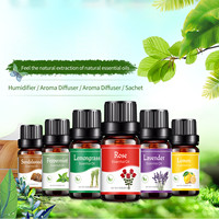 6pcs 10ml Essential Oils Set For Aroma Aromatherapy Diffusers Humidifier Lavender Essential Oil Water-soluble Plant Oil