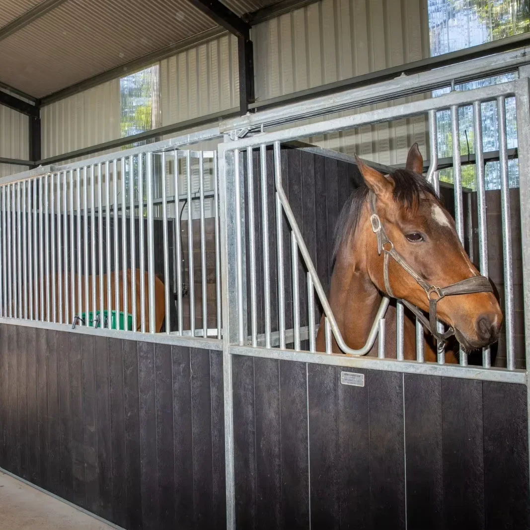 Luxurious stables can be customized steel horse stables rubber mats for horse stables