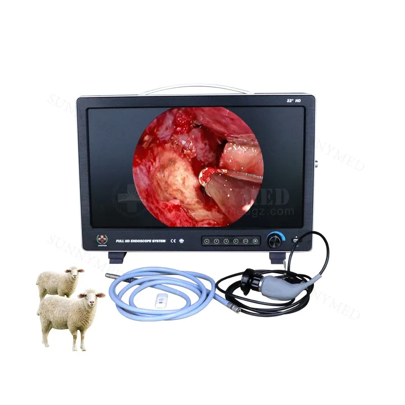 Veterinary laparoscopic equipment Endoscopic image system usb video recording function Dog/Cat full hd 3cmos endoscopy system