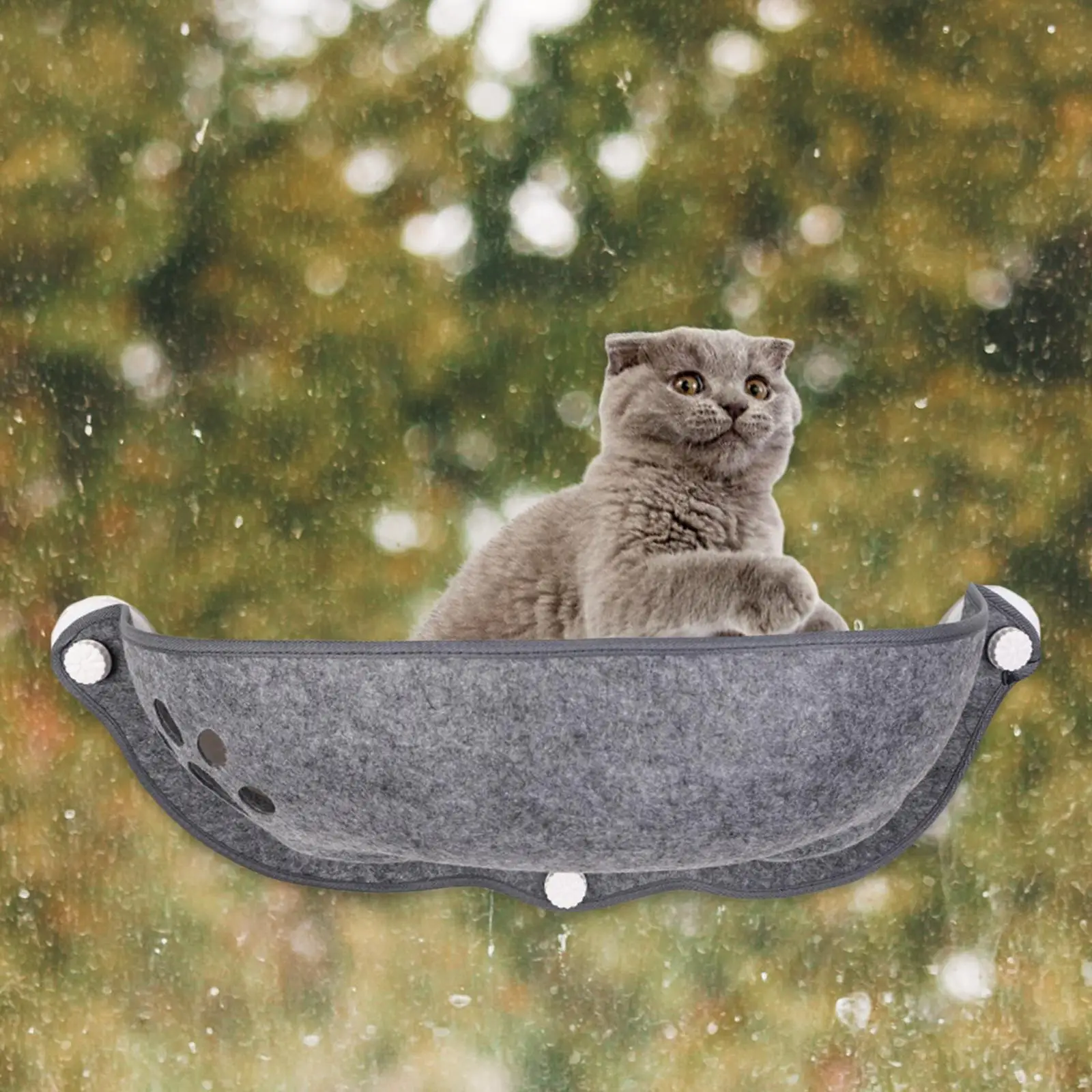 

Pet Cat Hammock Window Mounted Cars Bed Suction Cup Pet Rest Seat Bed