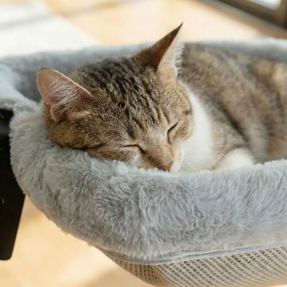 

Креативная полукруглая лежанка-стол для кошек: компактная, съемная, складная, мягкая и удобная, для рабочего стола