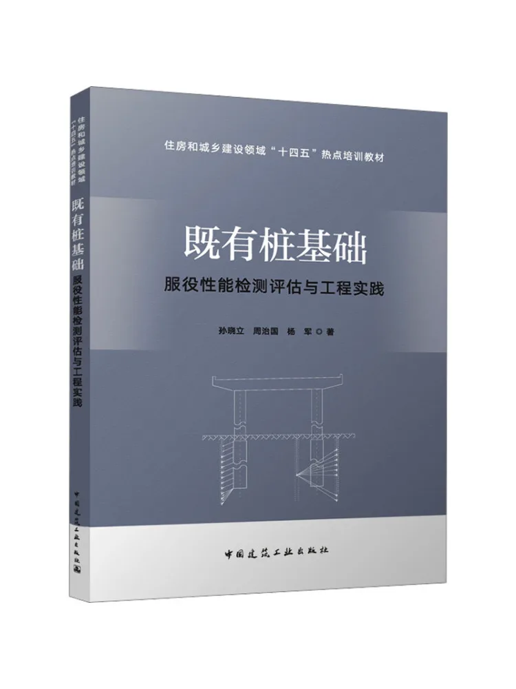 Book-Winshare Detection and Evaluation Of Service Performance Of Existing Pile Foundations and Engineering Practice