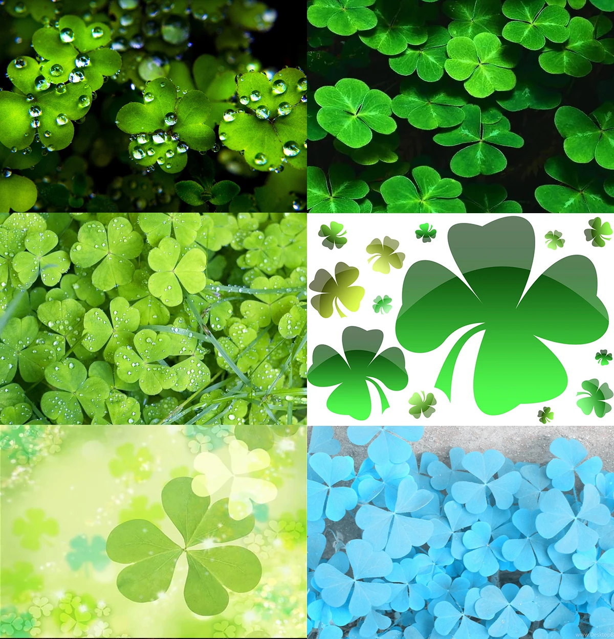 Four Leaf Clover Spring Photography Backdrops Easter Grass Dewdrop Photo Background Photo Studio Photophone Room Decorate