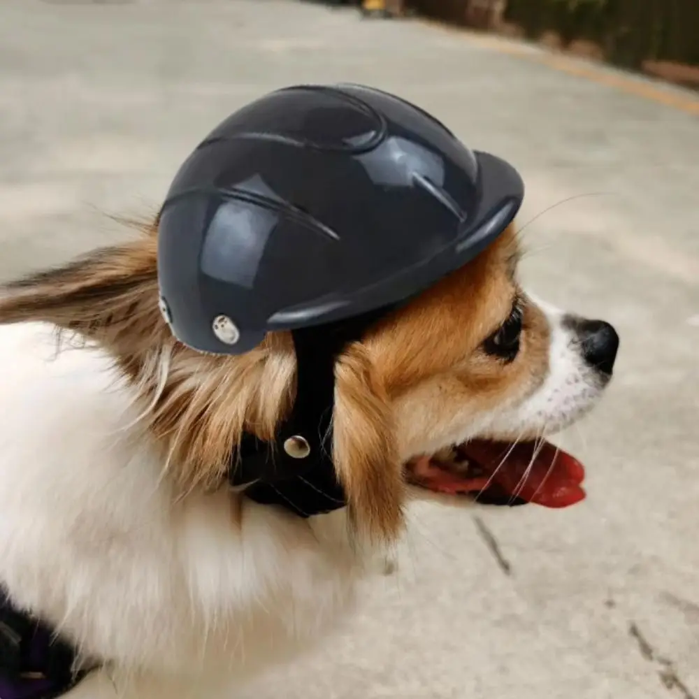 Adjustable Dog Helmet Wear Resistant Windproof Pet Motorcycle Helmet Cap Breathable Plastic Pet Riding Cap Sun Rain Protection