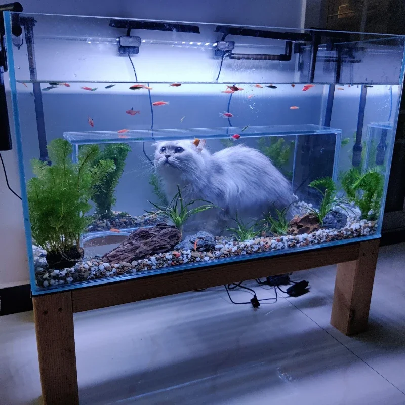 

Cat Viewing Tank Super White Glass Customized Fish Tank Special-Shaped Fish Tank