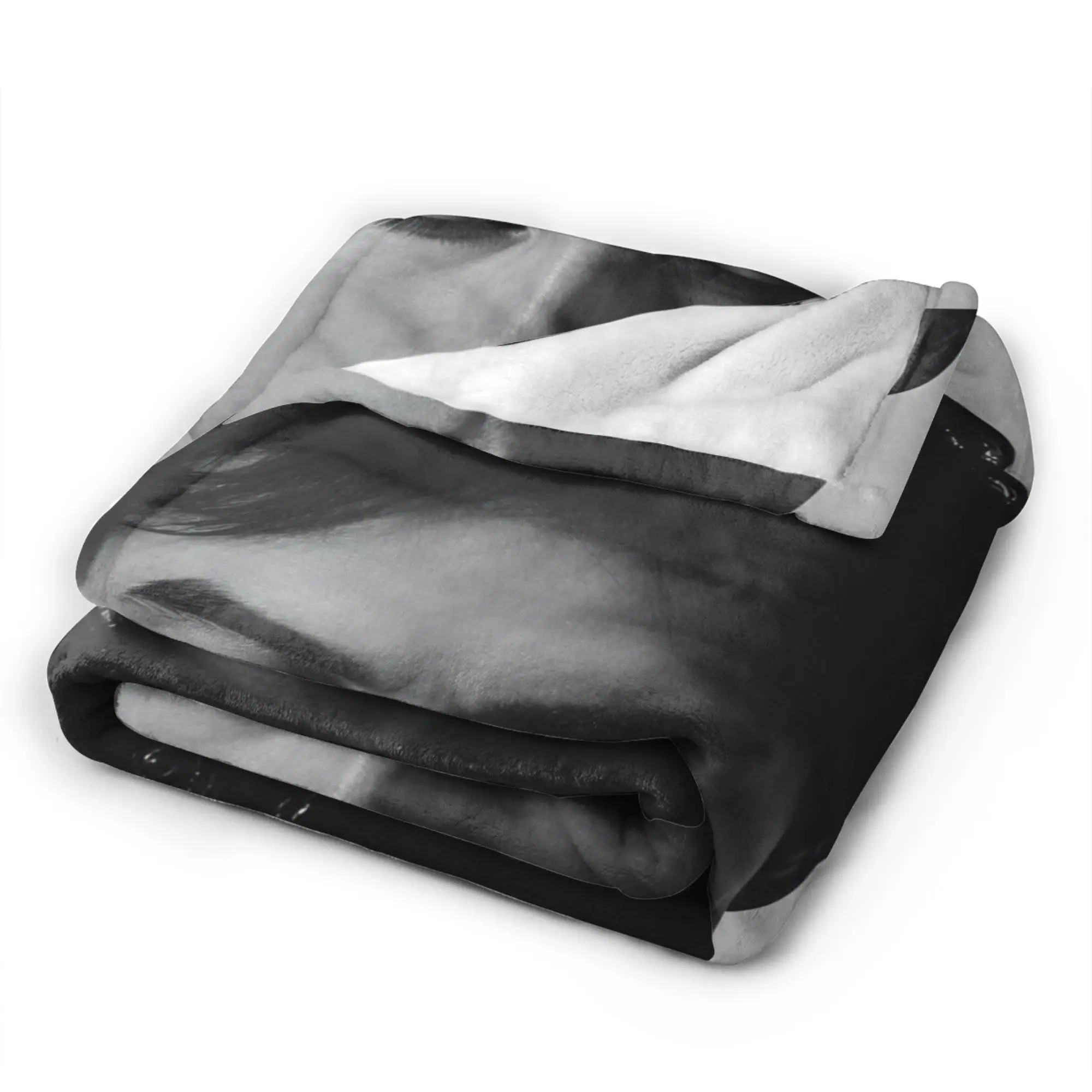 VIKAMA Vampire Diaries Damon Portrait Blanket Adults Girls  Flannel Bedding Throws For Chair Sofa Warm Soft Quality Bedspread