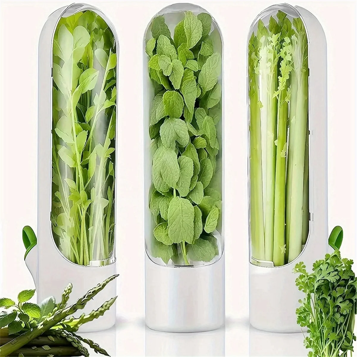 HHTL 3 contenitori per la conservazione delle verdure, tazze per la freschezza delle erbe, organizer da cucina e scatola portaoggetti