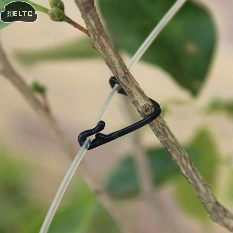 50Pcs Plant Vine Binding Clip Garden Plants Fixed Clip Buckles Tomato Vegetable Grape Support Vine Clip Fixed Plant Clip