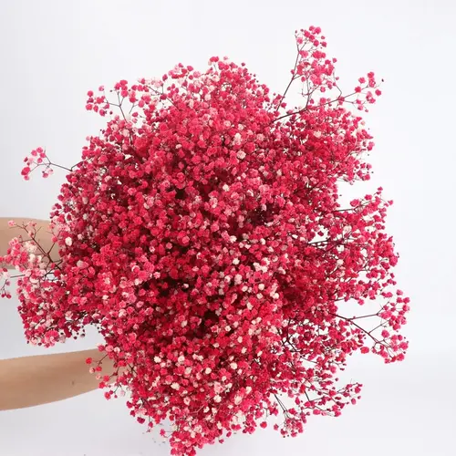 80g Mix Gypsophila Baby Breath Dried Flower Bouquet Boho Wedding Photo Prop Decoration Preserved Gypsophile Home Room Vase Decor - Image 14