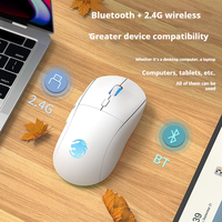 EWEADN G301 Wireless Bluetooth Dual-Mode Gaming Mouse, Rechargeable, Silent, Ergonomic Design, Perfect for Gaming & Office Use