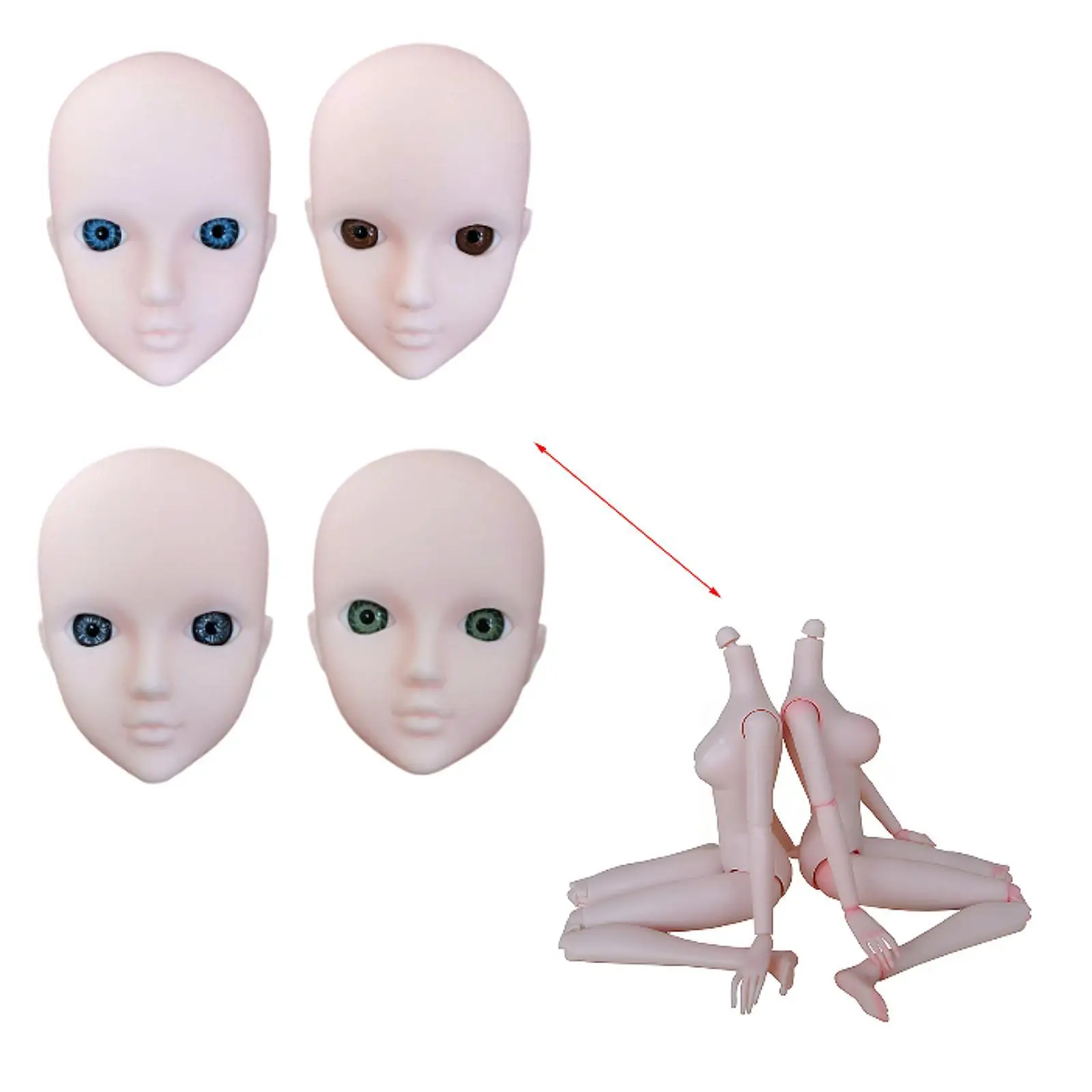 1/6 ฝึกแต่งหน้าตุ๊กตาหัวแต่งหน้าการฝึกอบรม 3D Eyes สําหรับ Ball Jointed ตุ๊กตา