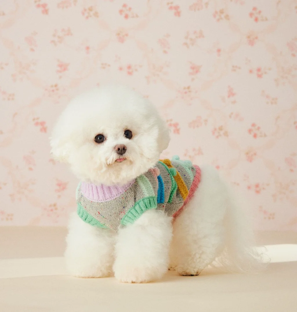 New Arrival Macaron Color Pet Knit Vest Adorable Pom Pom Decoration Color Block Sleeveless Dog Sweater for Maltese Yorkie