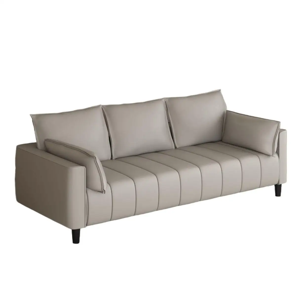 

Cat claw skin, simple, small apartment, living room, apartment, double, color matching, sofa