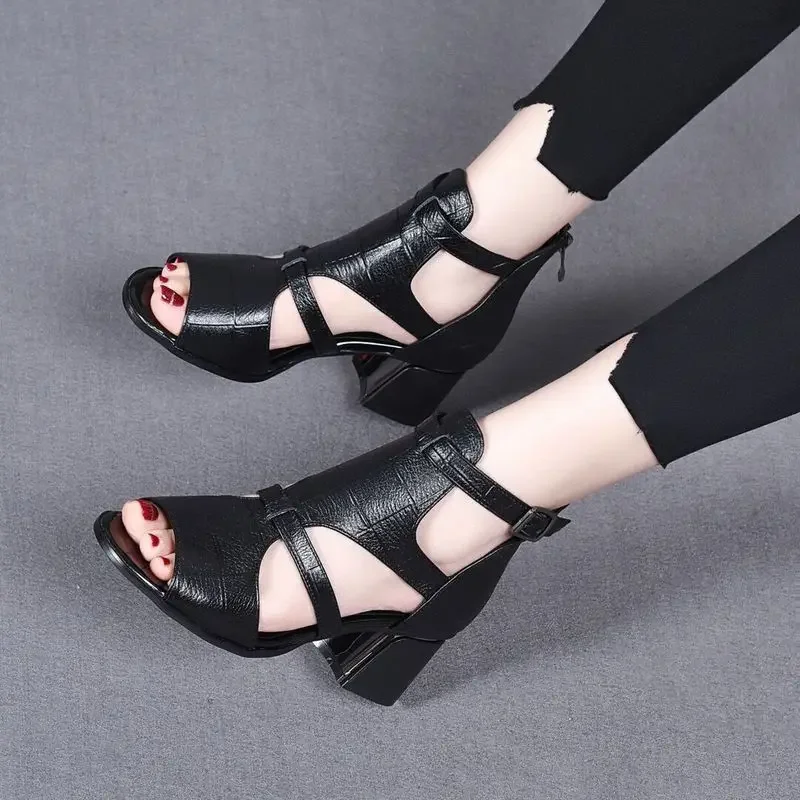 High Heeled Sandals Female 2024 New Summer Fish Mouth Shoes Chunky Heel Roman Back Zipper Sandals Solid Casual Sandales Femmes