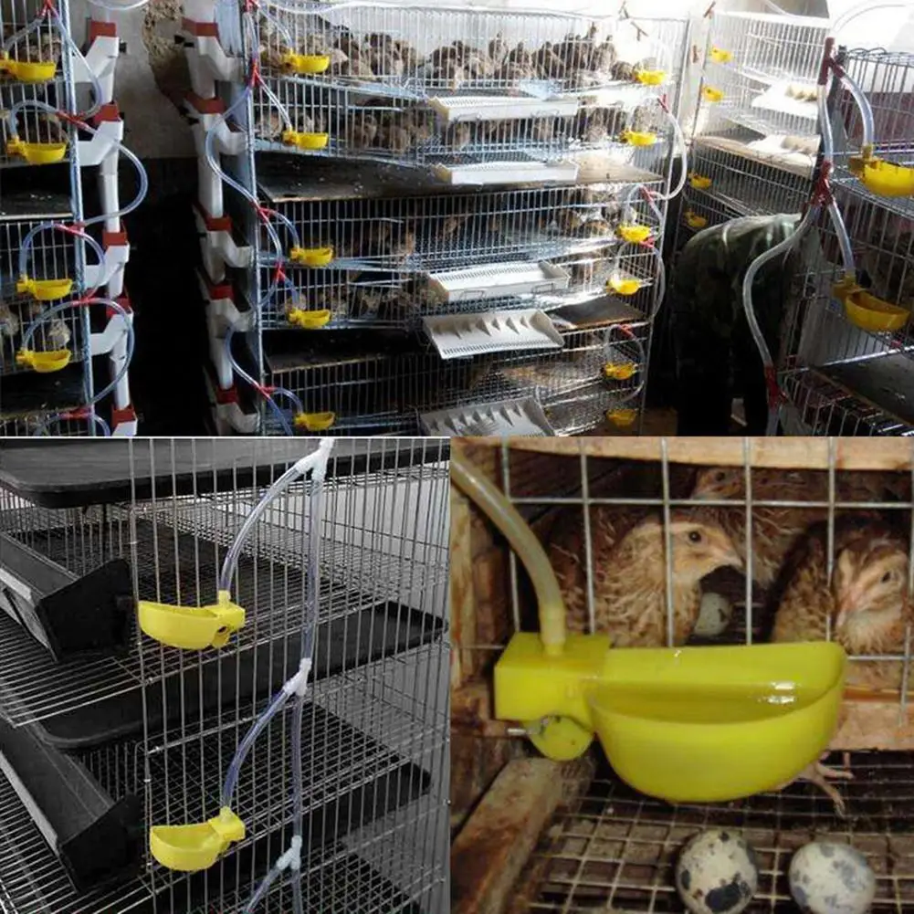 Automatic Birds Quail  Drinking  Bowl Convenient Pigeons Chickens Feeding Cup Practical Drinker Cage Accessories Pets Supplies