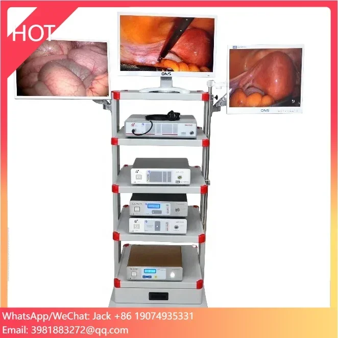 Scheda SD di acquisizione USB Scheda di acquisizione video Softdog a USB 2.0 Scatola di registrazione di acquisizione video per fotocamera endoscopica