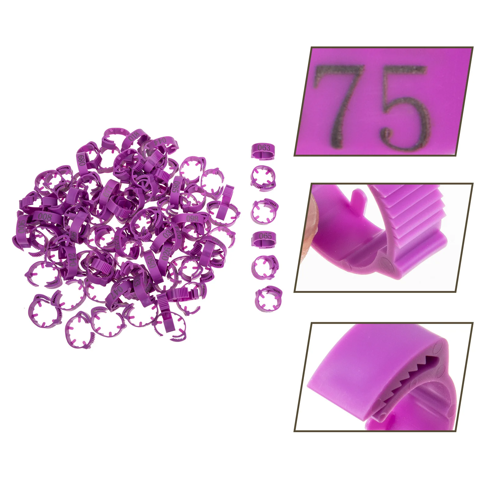 100 قطعة أربطة ساق الدجاج مرقمة السلس خفيفة الوزن تحديد الدواجن خواتم للدجاج الحمام البط أوزة الحيوانات الأليفة بمناسبة #5