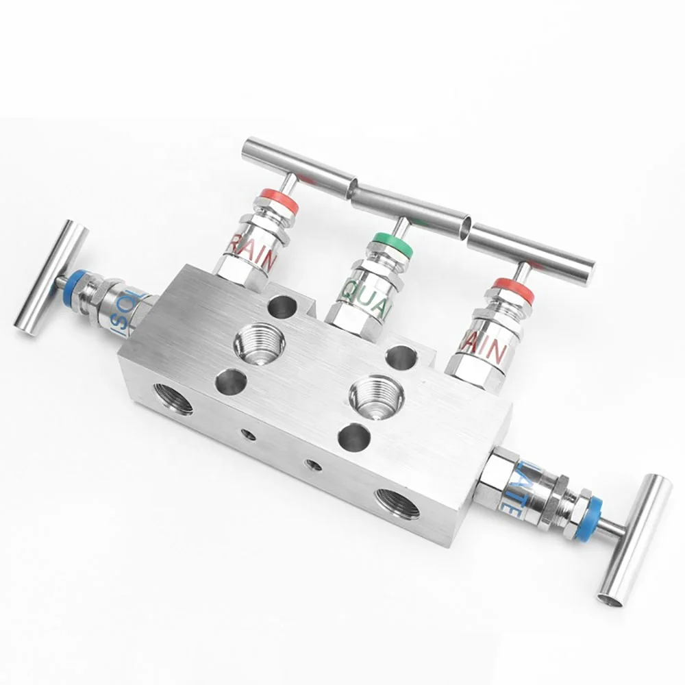 High precision original 5 Way Manifold Valves 5DSSRC52B11Five-Valve Manifold 0305RC52B11B4