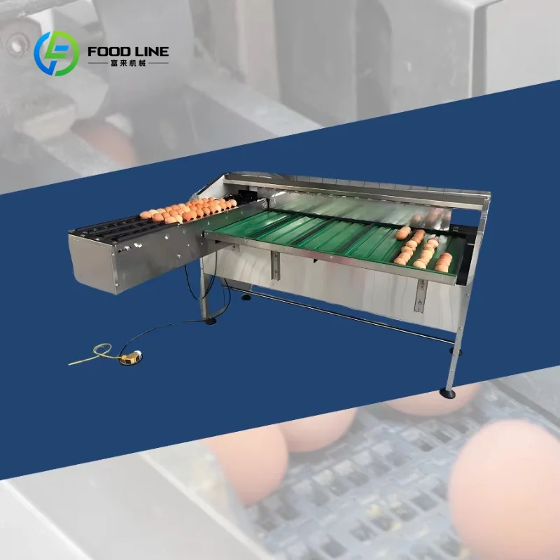 Customized Small Egg Sorting and Grading Machine Duck Chicken Egg Sorter Grader