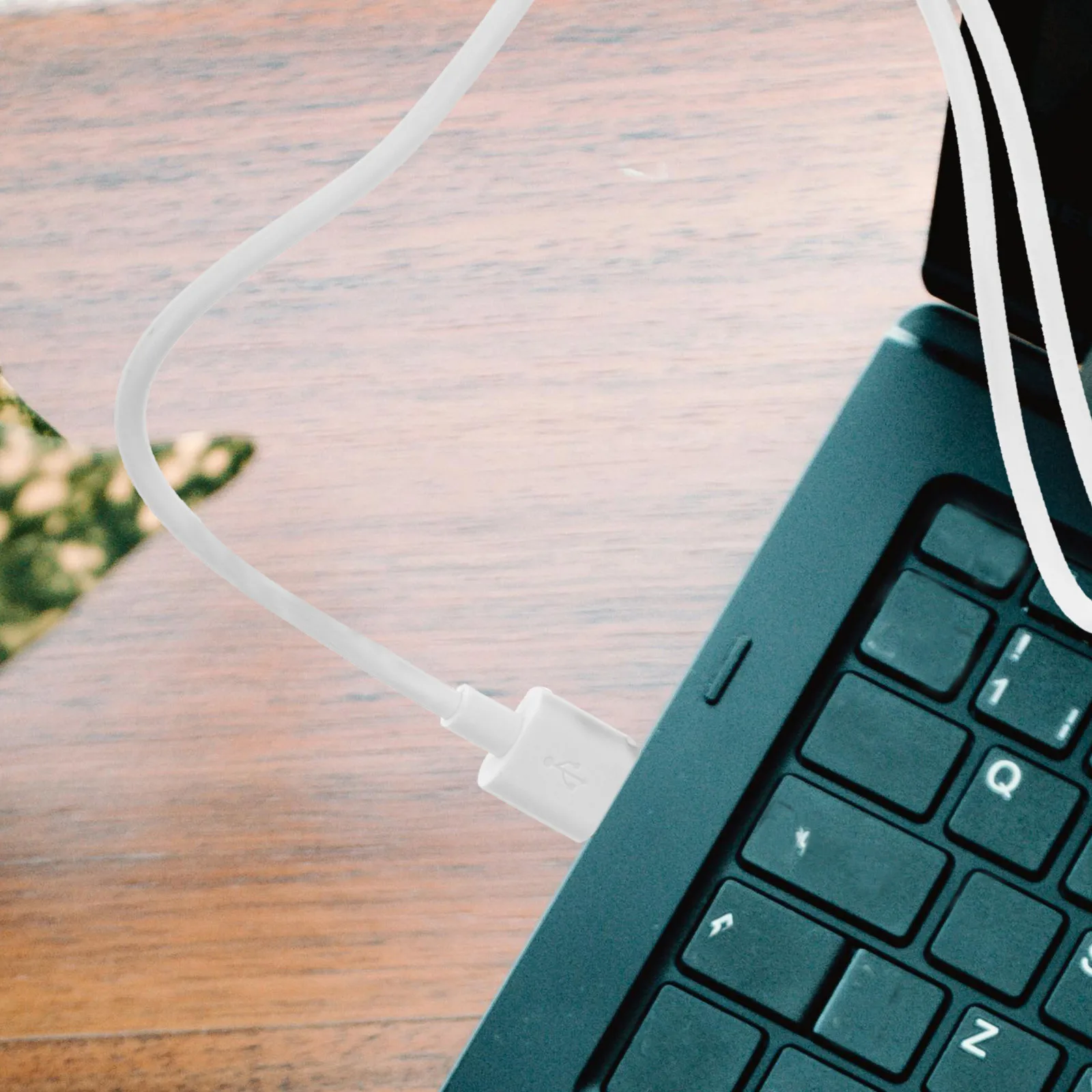 

Gadpiparty 1.5m USB C Cable Fast Charging Data Transfer Copper Wire Gift for Family Friends