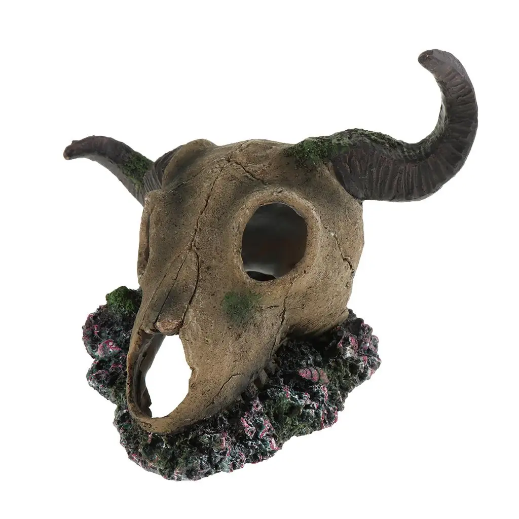 Comfort Fish Shrimp…