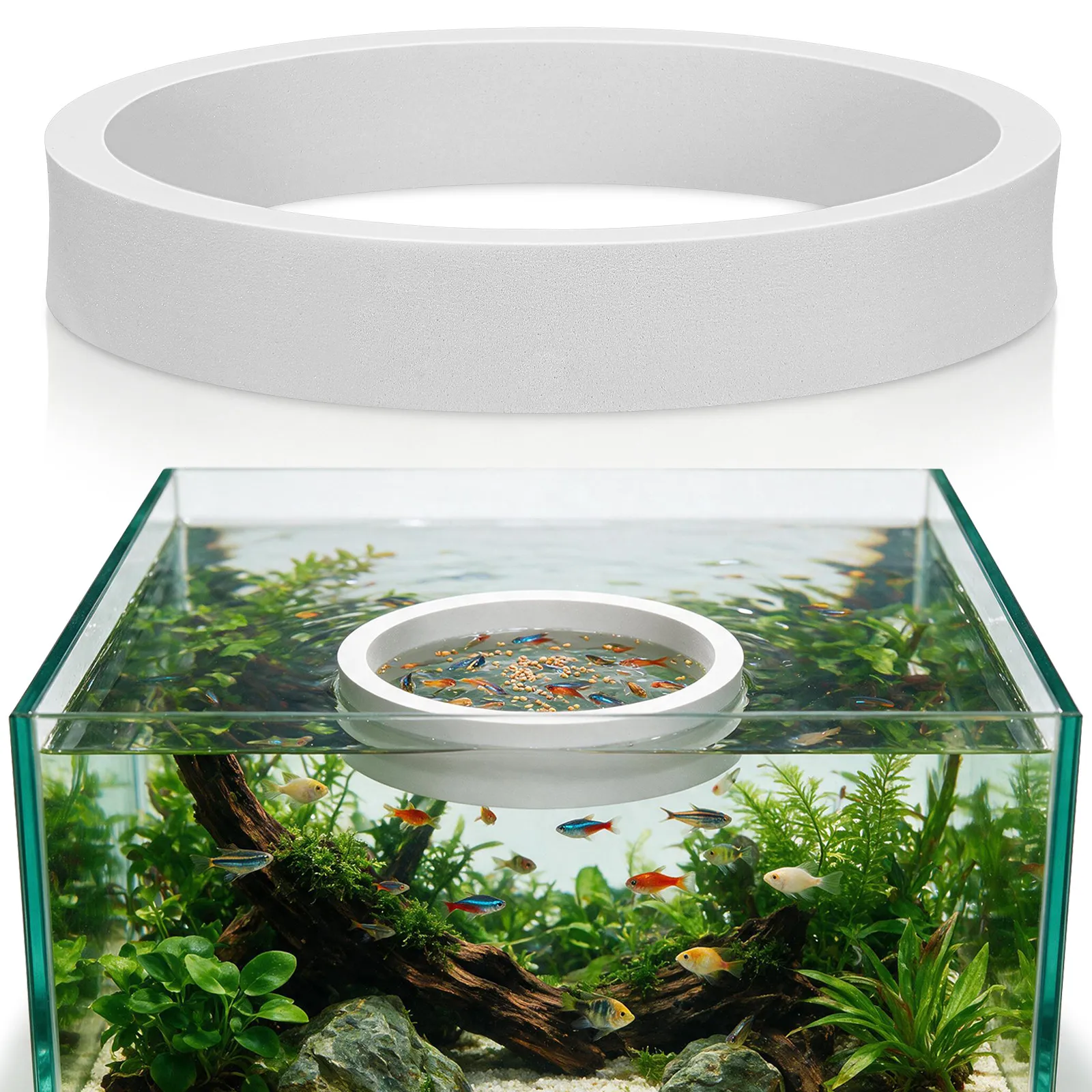 Aquarium Fish Zone - Anillo de alimentación para peces, para