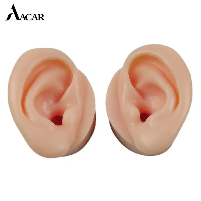 1PC Fake Ear Realistic Soft Silicone Ear Model Deep Canal Delicate Texture With Base Training Teaching Instruction Display Props