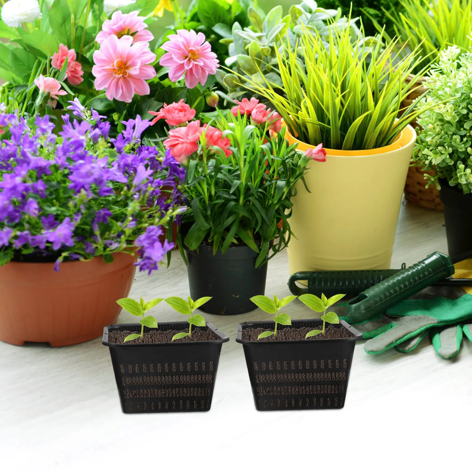 12Pcs Orchid Flower Pot Plastic Breathable Slotted Planter with Drainage Holes Root Aeration Ideal for Phalaenopsis Indoor