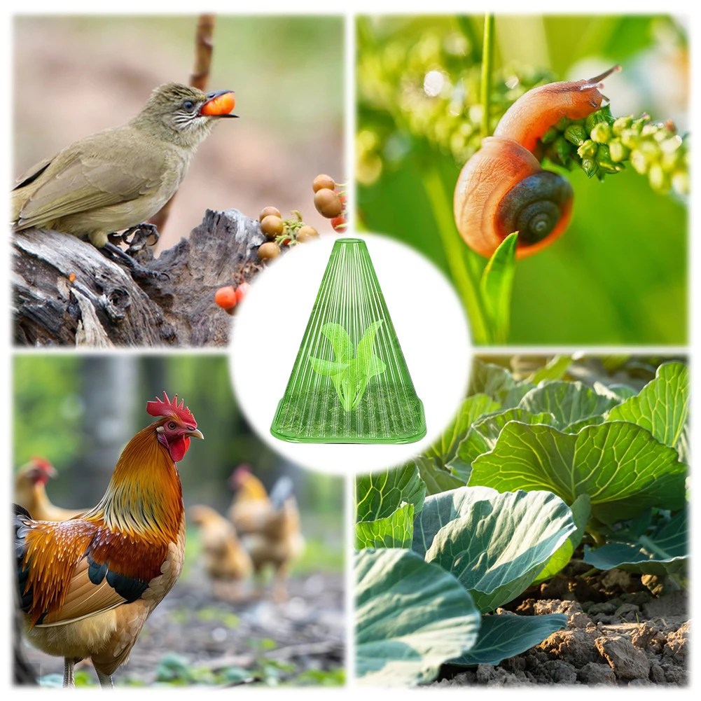 

5/12/15/21/25/31 Pcs Plant Covers Reusable Plant Bell Cover Bell Jar Cloches Protects Plants From Birds Frost Snails Etc