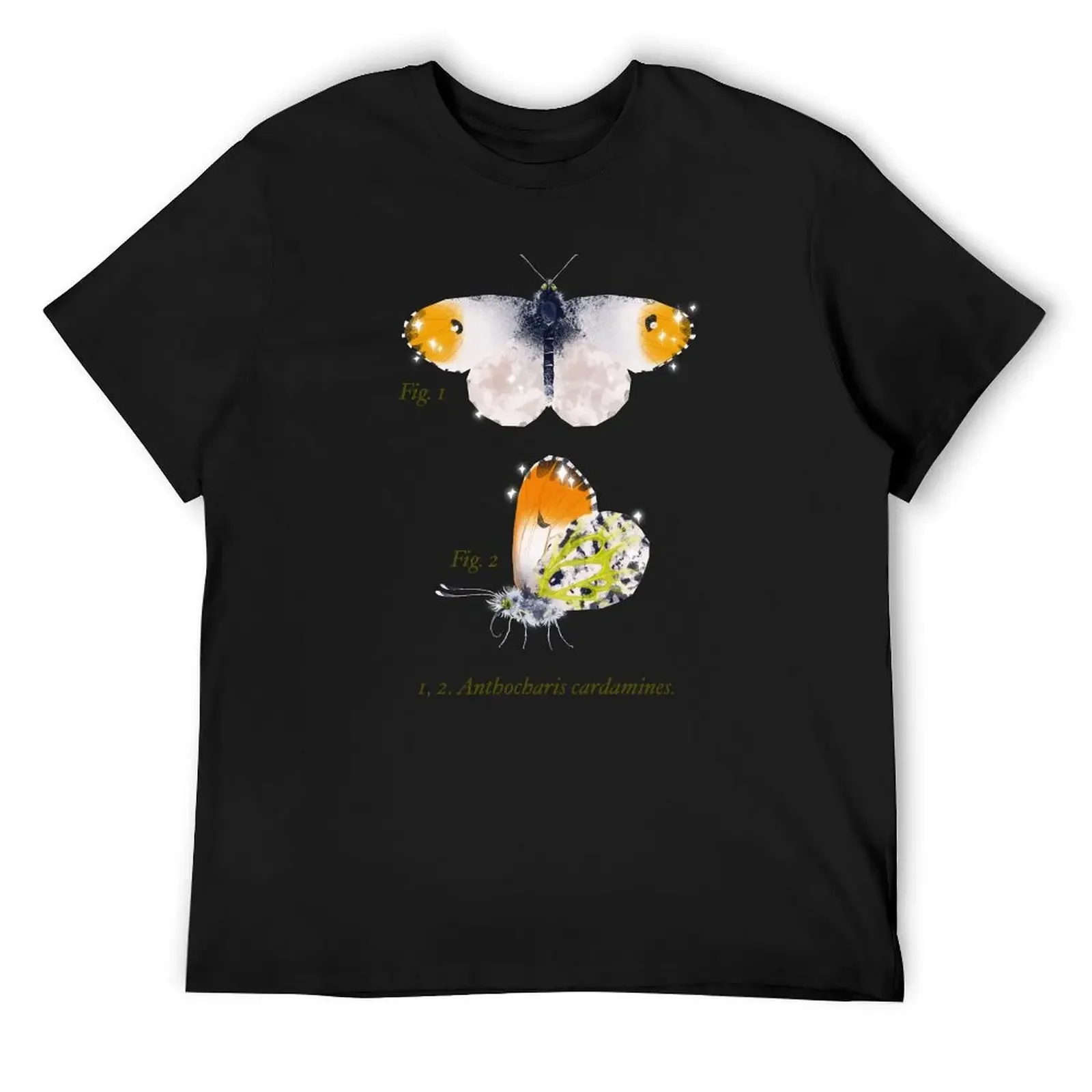 orange-tip butterfly T-Shirt Aesthetic clothing graphics black t shirts for men