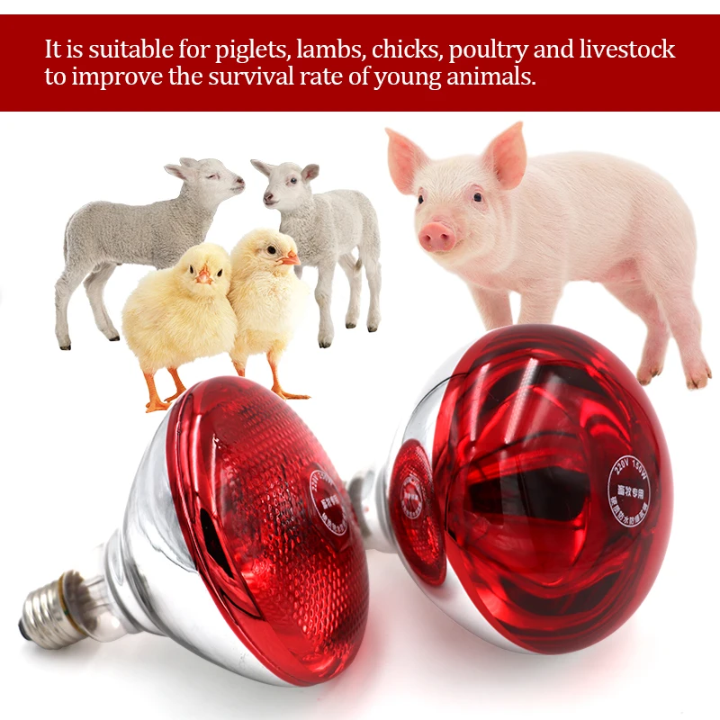 2Pcs Animal Thickened Heating Lamp Breeding Bulb E27 100W/150W/200W/250W LED Light Pet Brooder Hatch Chicken Pig Heater Bulbs