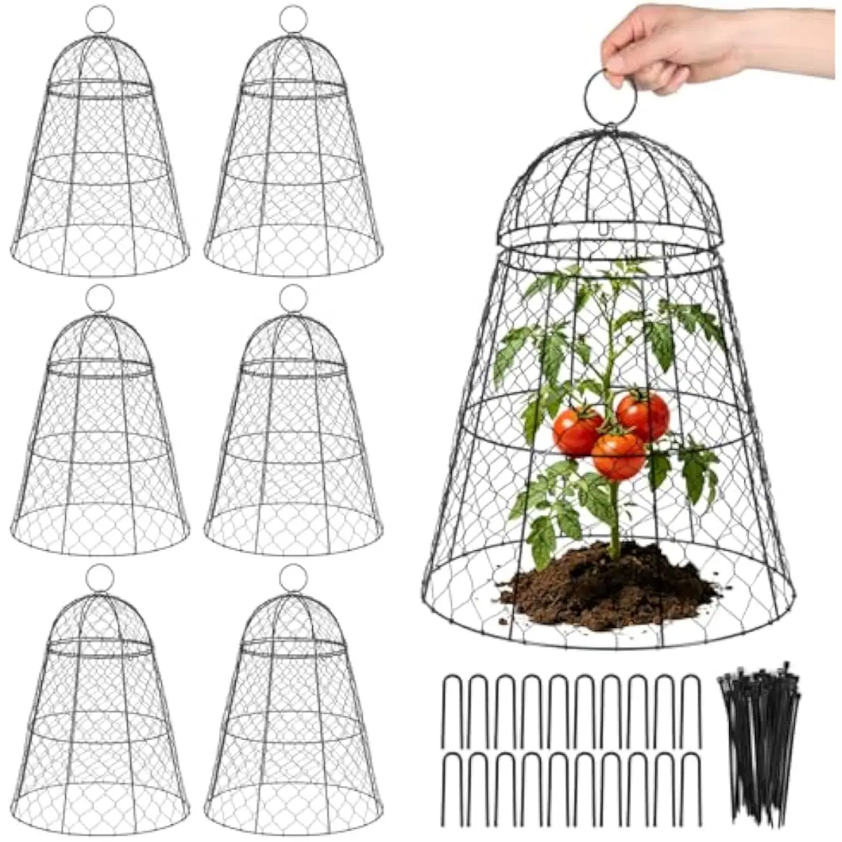 6 Pack Tall Black Wire Plant Cloches 17 Inch Height x 13 Inch Diameter with Fixing Pins and Zip Ties for Secure Outdoor Crop Pro
