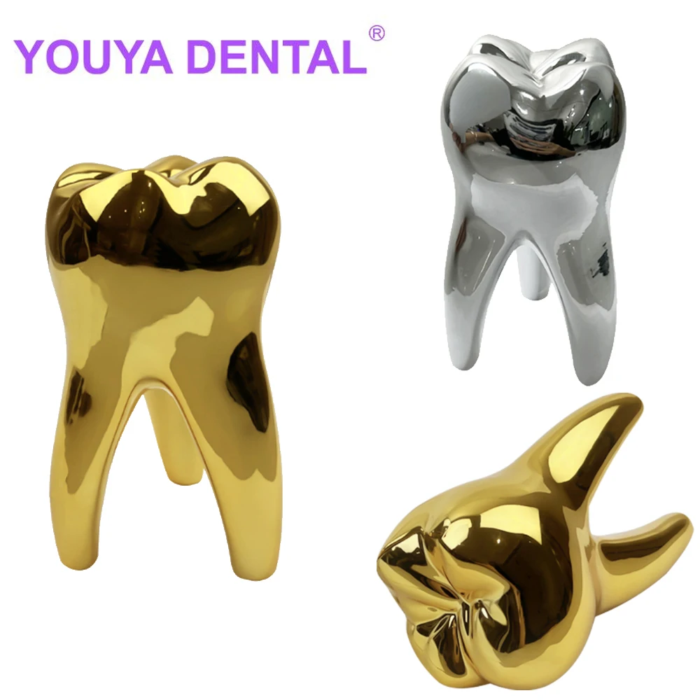 1Pc Dental Toys Dentist Gift Dental Artware Teeth Model Dentistry Clinic Desktop Decoration Ornament Articles Creative Souvenir