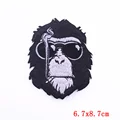PE5538CT