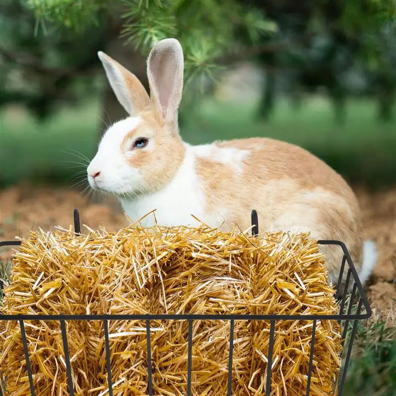 2Pcs Rabbit Hay Feeder Metal Rabbit Hay Rack Multi-Function Hay Racks Rabbit Feeder Racks Guinea Pig Bunny Cage Accessories